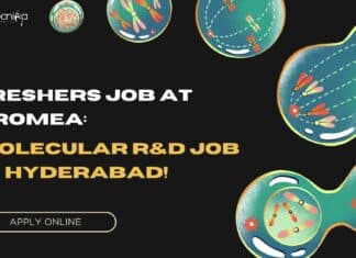 Freshers Job at Promea