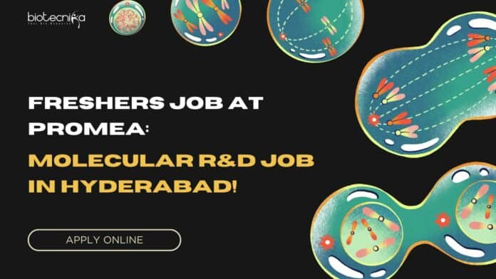 Freshers Job at Promea