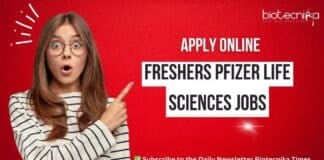 Freshers Pfizer Jobs