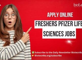 Freshers Pfizer Jobs