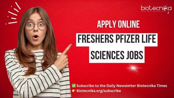 Freshers Pfizer Jobs