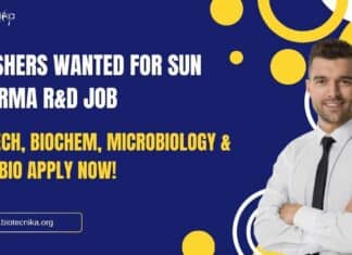 Freshers Sun Pharma R&D