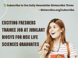Freshers Trainee Job