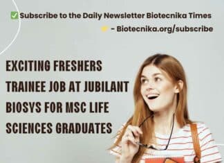 Freshers Trainee Job