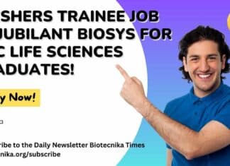 Freshers Trainee Jobs at