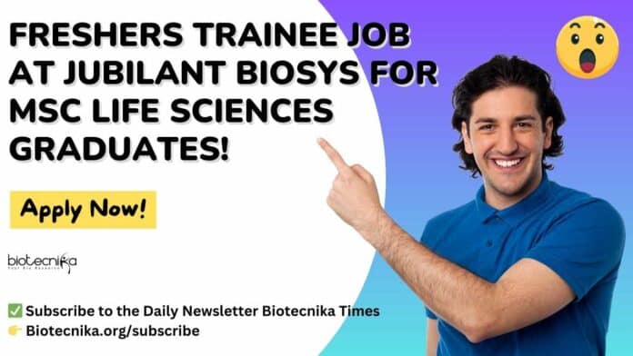 Freshers Trainee Jobs at