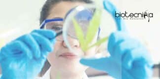 Infinita Biotech Private Limited