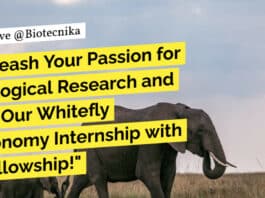 "Unleash Your Passion for Zoological Research and Join Our Whitefly Taxonomy Internship with a Fellowship!"