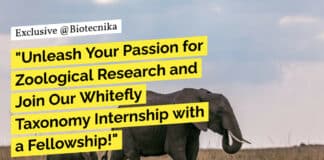 "Unleash Your Passion for Zoological Research and Join Our Whitefly Taxonomy Internship with a Fellowship!"