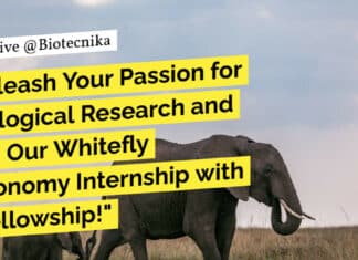 "Unleash Your Passion for Zoological Research and Join Our Whitefly Taxonomy Internship with a Fellowship!"