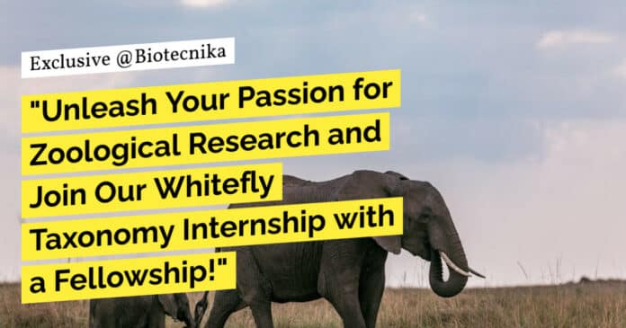 "Unleash Your Passion for Zoological Research and Join Our Whitefly Taxonomy Internship with a Fellowship!"