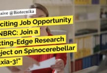 "Exciting Job Opportunity at NBRC: Join a Cutting-Edge Research Project on Spinocerebellar Ataxia-3!"