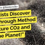 THETA Cycle: A Breakthrough in Synthetic CO2 Conversion to Acetyl-CoA by Max-Planck-Institute for Terrestrial Microbiology THETA Cycle: A Breakthrough in Synthetic CO2 Conversion to Acetyl-CoA by Max-Planck-Institute