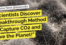 THETA Cycle: A Breakthrough in Synthetic CO2 Conversion to Acetyl-CoA by Max-Planck-Institute