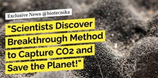 THETA Cycle: A Breakthrough in Synthetic CO2 Conversion to Acetyl-CoA by Max-Planck-Institute