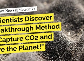 THETA Cycle: A Breakthrough in Synthetic CO2 Conversion to Acetyl-CoA by Max-Planck-Institute