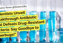 "Scientists Unveil Breakthrough Antibiotic That Defeats Drug-Resistant Bacteria: Say Goodbye to Superbugs!"