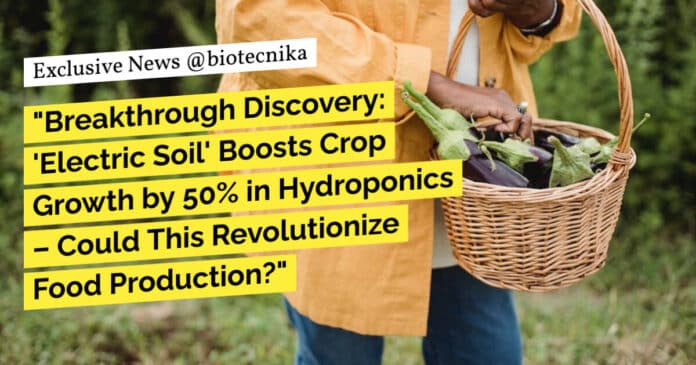"Breakthrough Discovery: 'Electric Soil' Boosts Crop Growth by 50% in Hydroponics – Could This Revolutionize Food Production?"