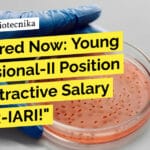 Get Hired Now: Microbiology Position with Attractive Salary at ICAR-IARI! ICAR-IARI Molecular Biology Young Professional Job - Apply Now