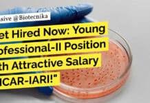 ICAR-IARI Molecular Biology Young Professional Job - Apply Now