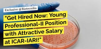 ICAR-IARI Molecular Biology Young Professional Job - Apply Now