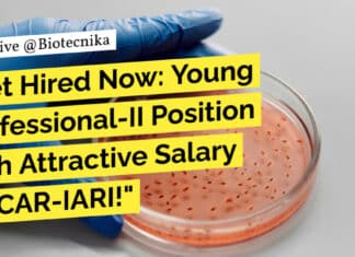 ICAR-IARI Molecular Biology Young Professional Job - Apply Now