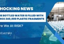 240000 Plastic Fragments