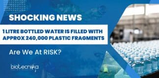 240000 Plastic Fragments