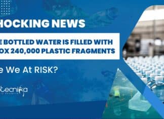 240000 Plastic Fragments