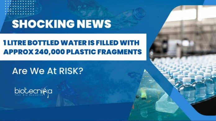 240000 Plastic Fragments