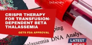 CRISPR Therapy For Transfusion-Dependent