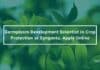 Syngenta Plant Sciences