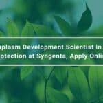 Germplasm Development Scientist in Crop Protection at Syngenta, Apply Online Syngenta Plant Sciences