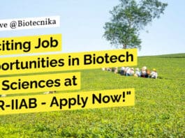 "Exciting Job Opportunities in Biotech Life Sciences at ICAR-IIAB - Apply Now!"