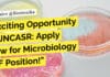 Exciting Opportunity at JNCASR: Apply Now for Microbiology & Biochemistry JRF Position! "Exciting Opportunity at JNCASR: Apply Now for Microbiology JRF Position!"