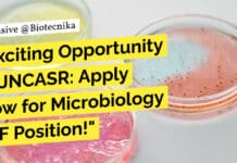 "Exciting Opportunity at JNCASR: Apply Now for Microbiology JRF Position!"