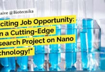 "Exciting Job Opportunity: Join a Cutting-Edge Research Project on Nano Technology!"