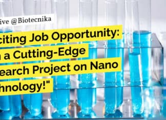 "Exciting Job Opportunity: Join a Cutting-Edge Research Project on Nano Technology!"