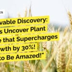 Methyl Jasmonate "Unbelievable Discovery: Scientists Uncover Plant Hormone that Supercharges Crop Growth by 30%! Prepare to Be Amazed!"