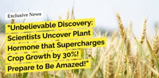 Methyl Jasmonate "Unbelievable Discovery: Scientists Uncover Plant Hormone that Supercharges Crop Growth by 30%! Prepare to Be Amazed!"