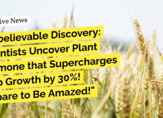 Methyl Jasmonate "Unbelievable Discovery: Scientists Uncover Plant Hormone that Supercharges Crop Growth by 30%! Prepare to Be Amazed!"