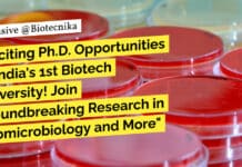 PhD at Gujarat Biotechnology University - Apply Online