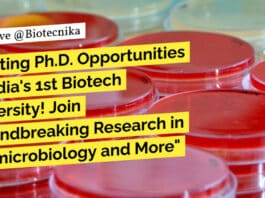 PhD at Gujarat Biotechnology University - Apply Online