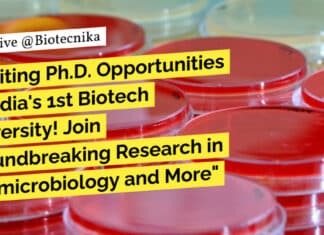 PhD at Gujarat Biotechnology University - Apply Online