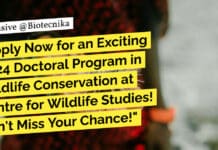 "Apply Now for an Exciting 2024 Doctoral Program in Wildlife Conservation at Centre for Wildlife Studies! Don't Miss Your Chance!"