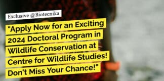 "Apply Now for an Exciting 2024 Doctoral Program in Wildlife Conservation at Centre for Wildlife Studies! Don't Miss Your Chance!"