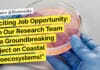 CSIR-CSMCRI Project Recruitment Biotech & Microbiology, Attend Walk-In "Exciting Job Opportunity: Join Our Research Team for a Groundbreaking Project on Coastal Agroecosystems!"