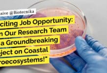 "Exciting Job Opportunity: Join Our Research Team for a Groundbreaking Project on Coastal Agroecosystems!"