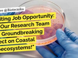 "Exciting Job Opportunity: Join Our Research Team for a Groundbreaking Project on Coastal Agroecosystems!"