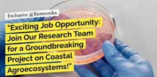 "Exciting Job Opportunity: Join Our Research Team for a Groundbreaking Project on Coastal Agroecosystems!"